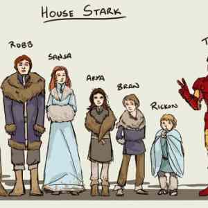 Obrázek 'House Stark'