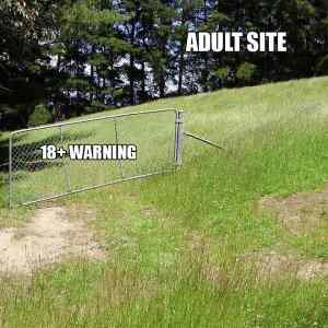 Obrázek 'How Adult Site Warnings Work '