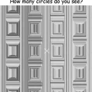 Obrázek 'How many circles do you see'