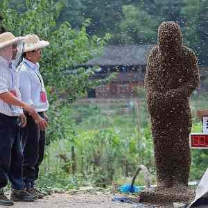 Obrázek 'Human beehive'