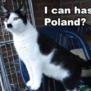 Obrázek 'I can has Poland '