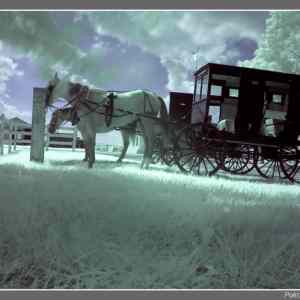 Obrázek 'Infrared look on Amish country2'