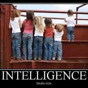 Obrázek 'Inteligence 06-04-2012'