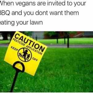 Obrázek 'Inviting Vegans    '