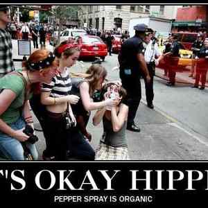 Obrázek 'Its okay hippie'