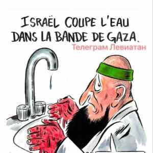 Obrázek 'Izrael odriznul pasmo Gazy od vody'