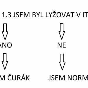 Obrázek 'JEDNODUCHY TEST'