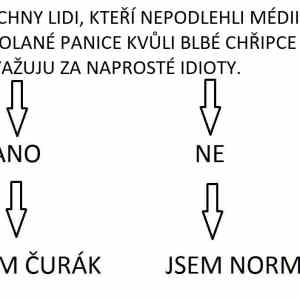 Obrázek 'JESTE JEDNODUSSI TEST'