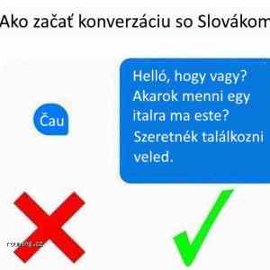 Obrázek 'Jak konverzovat se slovakem'