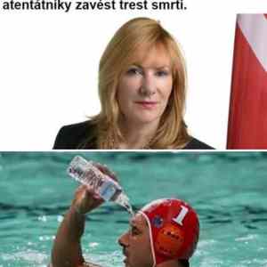 Obrázek 'Janice Atkinson'