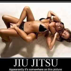 Obrázek 'Jiu Jitsu 13-01-2012'