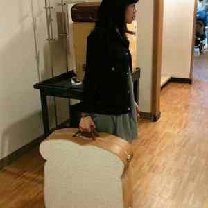 Obrázek 'K-The Sandwich Suitcase'
