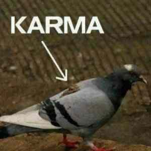 Obrázek 'Karma    '