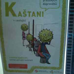 Obrázek 'Kastani'