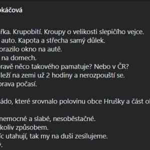 Obrázek 'Kdyz ani v case strasne tragedie nedokazes nebyt krava'