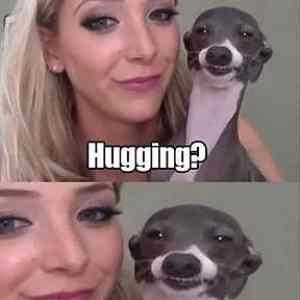 Obrázek 'Kermit loves to hug'