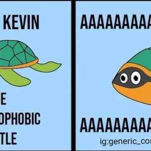 Obrázek 'Kevin the turtle'