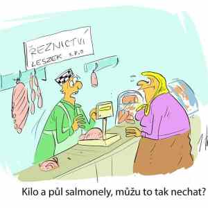 Obrázek 'Kilo a pul salmonely'