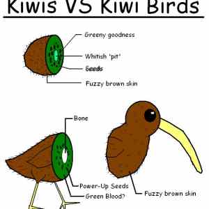 Obrázek 'Kiwi VS Kiwi'
