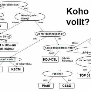 Obrázek 'KohoVolit'