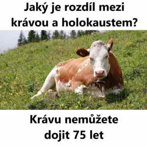 Obrázek 'Kosher vtip'