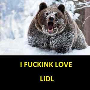 Obrázek 'LIDL BEAR'