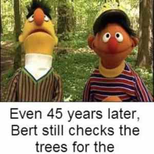 Obrázek 'Lets-see-your-best-Bert-and-Ernie-memes'