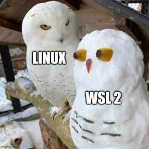 Obrázek 'Linux vs WSL2'