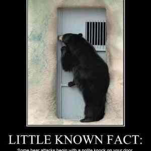 Obrázek 'Little Known Fact'
