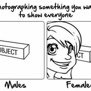 Obrázek 'Males vs Females III'