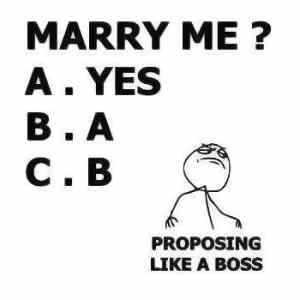 Obrázek 'Marriage-Quotes-proposing-like-a-boss'