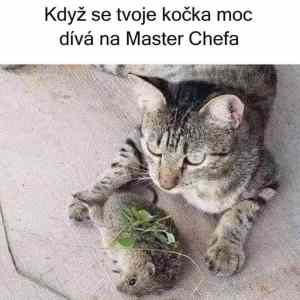 Obrázek 'Master Chef kosiska'