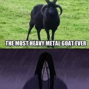 Obrázek 'Metal-goat  '