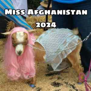 Obrázek 'Miss Afghanistan 2025'