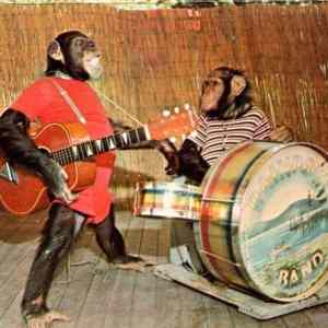 Obrázek 'Monkeys band'