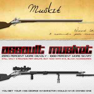 Obrázek 'Musket-vs-Assault-Musket'