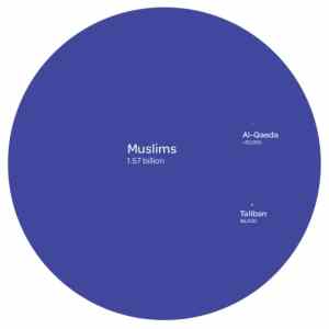 Obrázek 'Muslimove vs media'
