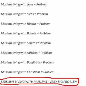 Obrázek 'Muslims explained'