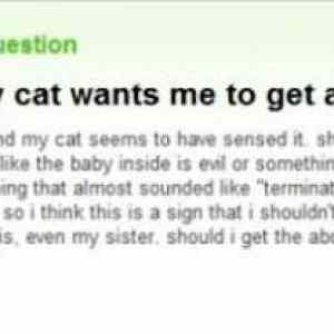 Obrázek 'My Cat Wants Me to Get an Abortion 21-12-2011'