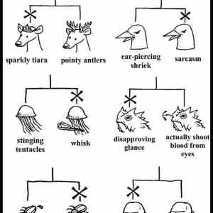 Obrázek 'NaturalSelection'