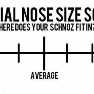 Obrázek 'Official nose size'