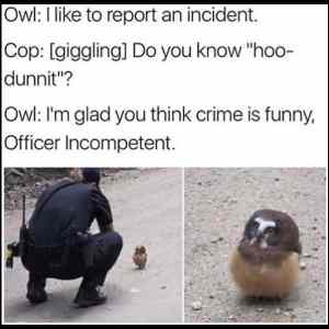 Obrázek 'Owl-Cop'