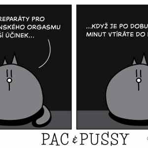 Obrázek 'Pac a pussy'