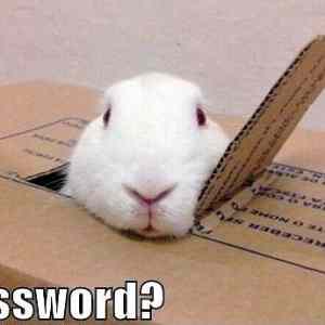 Obrázek 'Password - 20-04-2012'