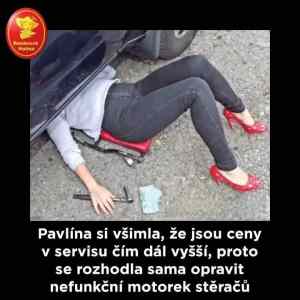 Obrázek 'Pavlina1'