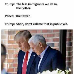 Obrázek 'Pence-Trump'