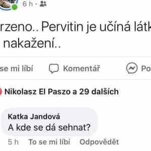 Obrázek 'Pernikovy lek'