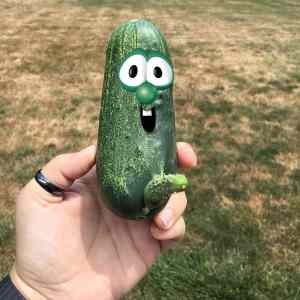 Obrázek 'Picked this cucumber this morning'