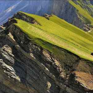 Obrázek 'Picture fo the day - Italian farming'