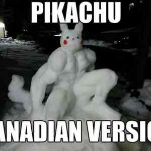 Obrázek 'Pikachu canadian'